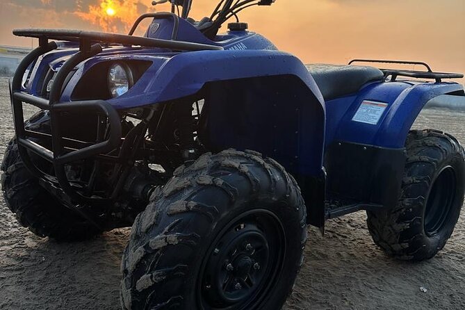 Private Full Day Desert Safari Dinner and Camel Ride in Doha - Sandboarding adds a simple burst of fun