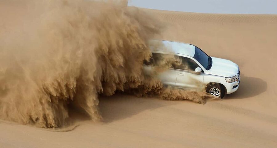 Private Full-Day Desert Tour - Quick points before you book
