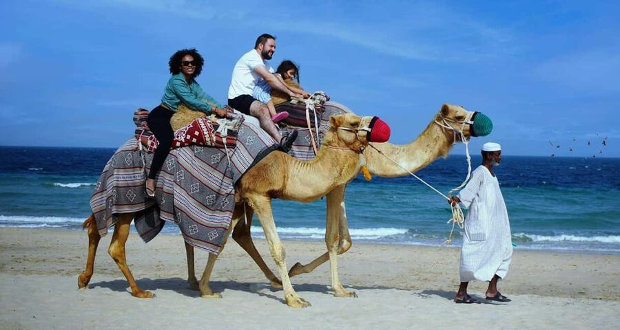 Private Full-Day Desert Tour - Reaching Khor Al Adeid near the Saudi border
