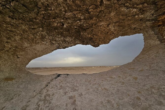 Private Full Day Guided Tour in Qatar North and West - Purple Island brings coast and archaeology together