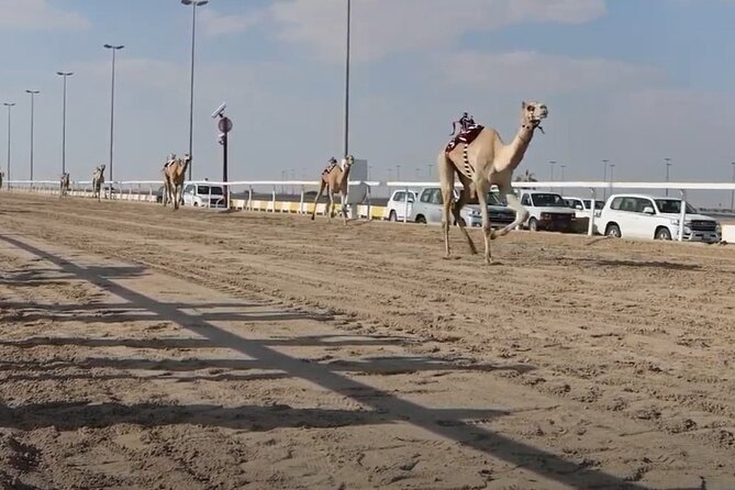 Private Full Day Guided Tour in Qatar North and West - Al Zubara is the day’s essential stop