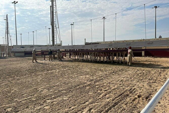 Private Full Day Guided Tour in Qatar North and West - Al Shamal and the northern horizon