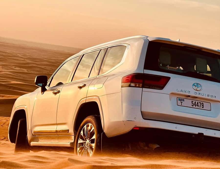 Private Gentle Sands Desert Experience Without Dune Bashing - From Doha to the golden sand