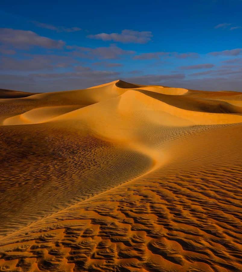 Private Gentle Sands Desert Experience Without Dune Bashing - Inland Sea Beach and the desert meeting water