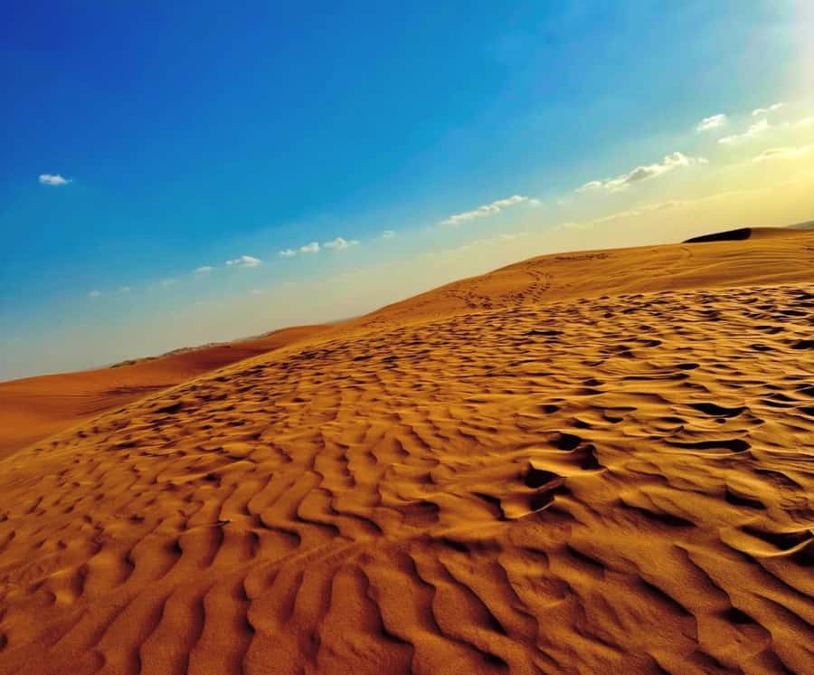 Private Gentle Sands Desert Experience Without Dune Bashing - What the $16 price really gives you