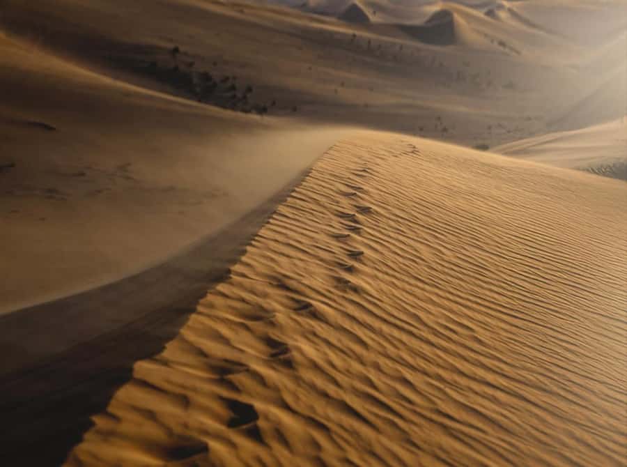 Private Gentle Sands Desert Experience Without Dune Bashing - The first desert stop: tea, camels, and wide views