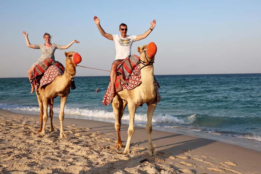 Private Half-Day Desert Safari Tour+Camel Ride - The camel ride: traditional, but possibly brief