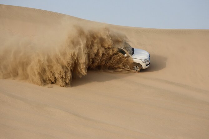 Private Half Day Desert Safari with Camel Ride - What the Five-Minute Camel Ride Really Means