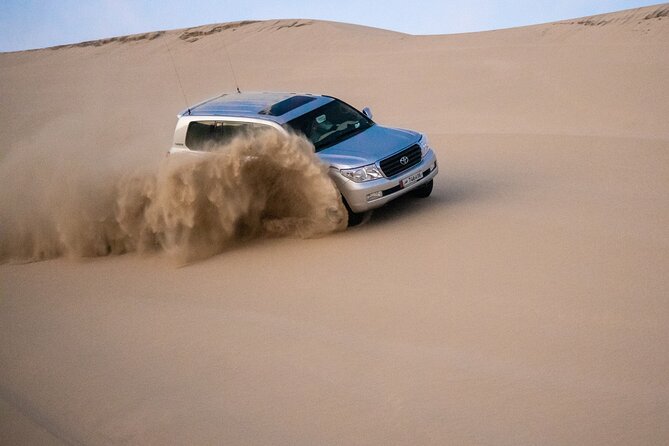 Private Half Day Desert Safari with Camel Ride - Sealine Beach and the Optional Adventure Menu