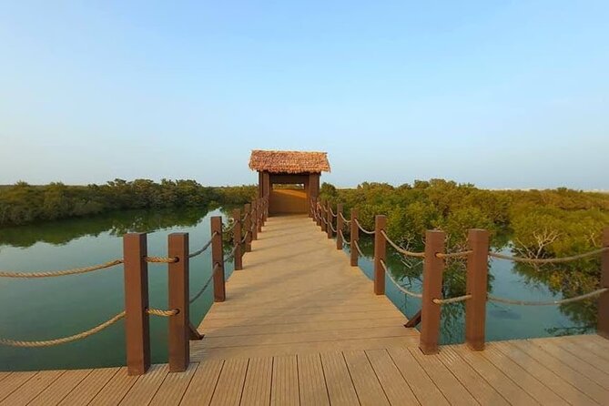 Private Half Day Tour in the North of Qatar - The return to Doha and the four-hour rhythm
