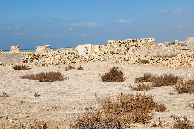 Private Half Day Tour in the North of Qatar - Is $70 per person good value?