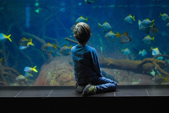 Private Hamad Port Tour in Mesaieed |Aquarium |Maritime Museum - The 4D cinema makes port life physical