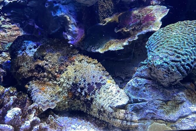 Private Hamad Port Tour in Mesaieed |Aquarium |Maritime Museum - What the $155 price really includes