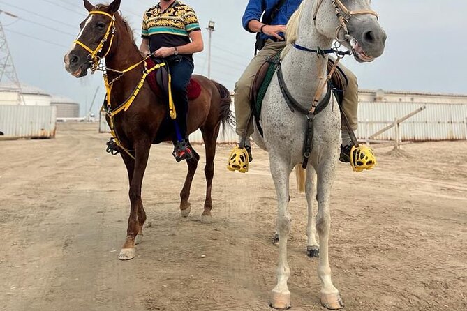 Private Horse and Camel Riding Experience in Doha - Is $150 a fair price?