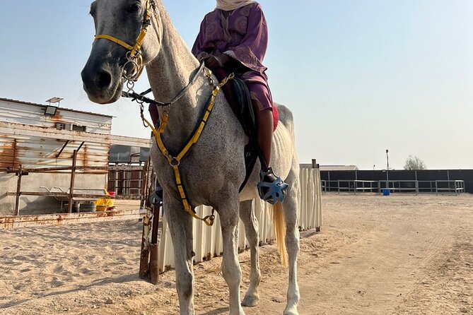 Private Horse and Camel Riding Experience in Doha - Who should book this Doha desert outing?