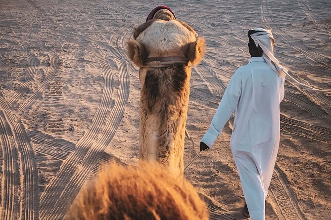 Private Horse and Camel Riding Experience in Doha - A short camel ride adds the local flavor