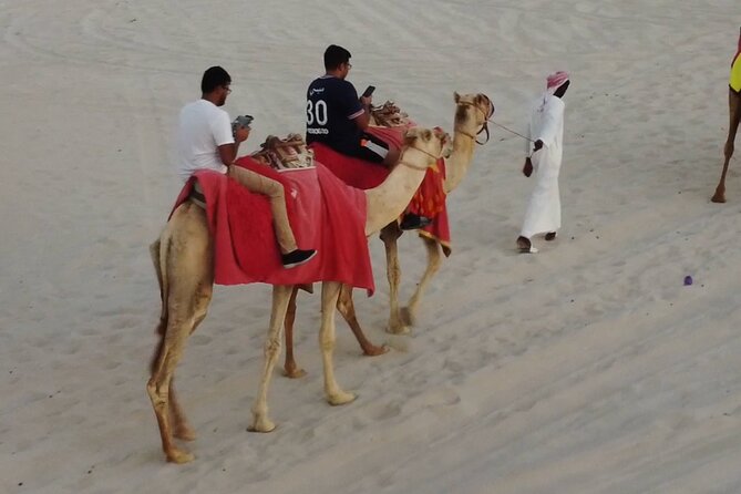 Private Horseback Riding Experience in Doha - Who will enjoy this most?
