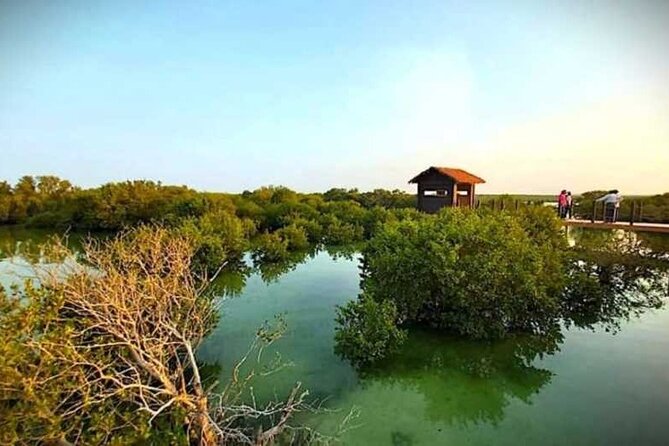 Private North of Qatar Tour - Purple Island and two hours among the mangroves