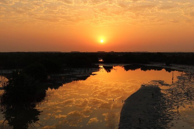 Private North of Qatar: Zubara Fort | Jumail Village | Al-Thakhira Mangroves - Why northern Qatar is worth the drive