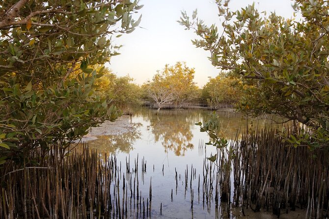 Private North of Qatar: Zubara Fort | Jumail Village | Al-Thakhira Mangroves - What the private format adds to a $60 tour