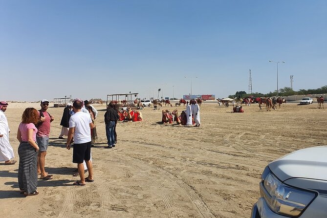 (Private) Quickie to the Desert | Sandboarding | Inland Sea - Who will enjoy this tour most
