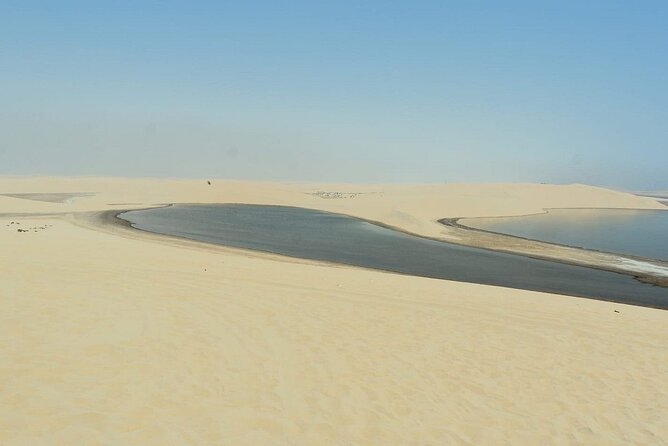 Private Sealine Beach Tour with Desert Activities - The guides can shape the whole day