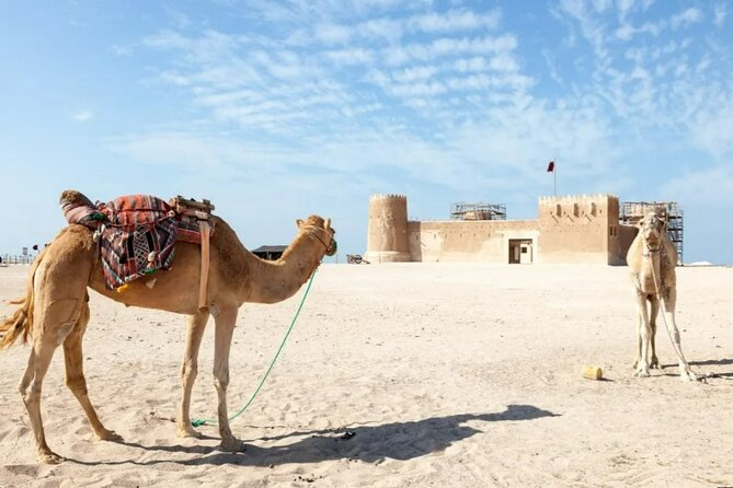 Private Tour in Northern Qatar - What $50 per person really buys you