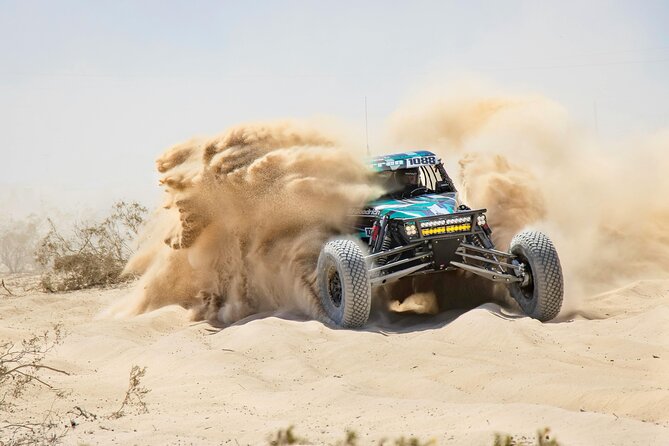Professional Buggy Self Drive with Desert Safari and Camel Ride - Key points to know before booking