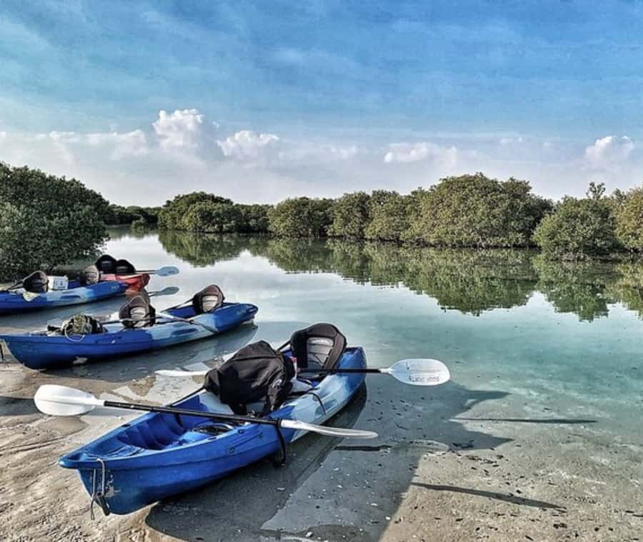 Qatar: Al Thakira Mangrove Forest Kayaking Tour - Key points to know before booking
