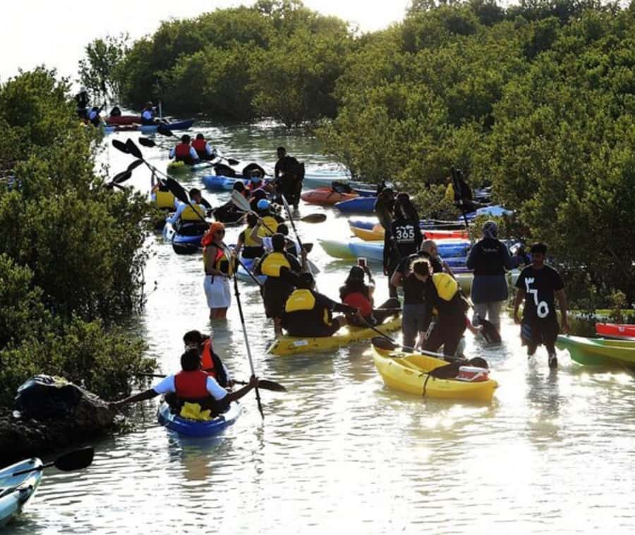 Qatar: Al Thakira Mangrove Forest Kayaking Tour - Entering the Al Thakira mangrove channels