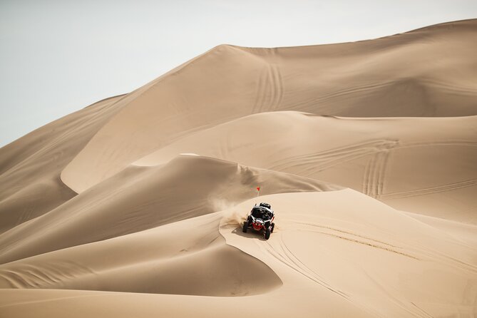 Qatar-ATV Self Drive Quad Bike Experience - What the Sealine Beach setting adds