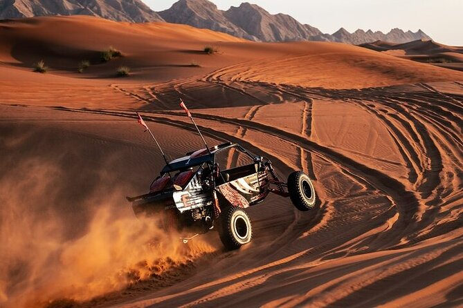 Qatar Desert Thrills Self Ride Dune Buggy Safari and Camel Ride - Key points to know before you book