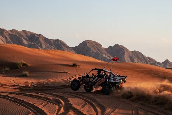 Qatar Desert Thrills Self Ride Dune Buggy Safari and Camel Ride - Who will enjoy this most?