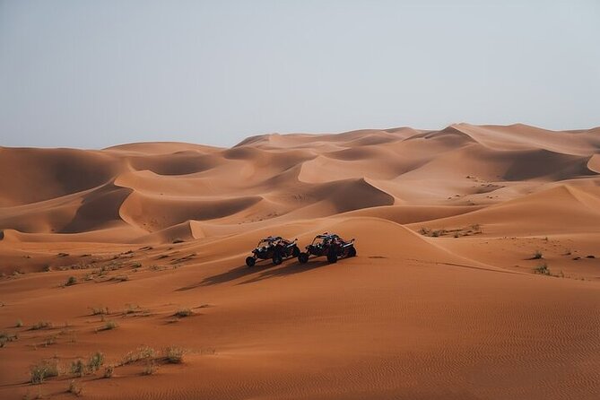 Qatar Desert Thrills Self Ride Dune Buggy Safari and Camel Ride - Practical timing and comfort tips