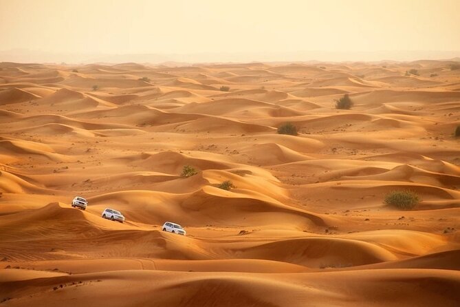 Qatar Dune Buggy Private Experience - Comfort breaks, refreshments, and the pace of the ride