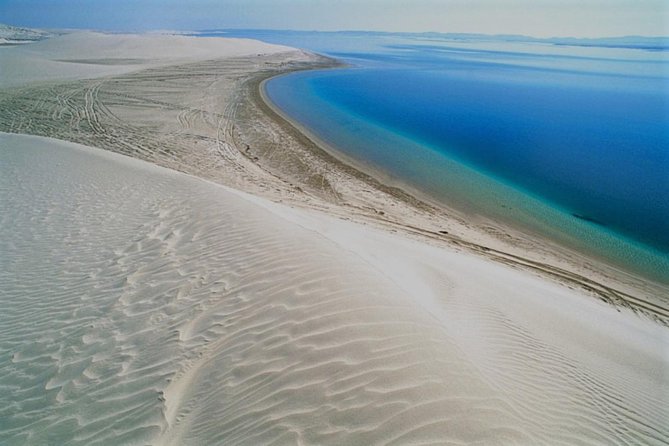 Qatar Gold Dune Safari, Dune Bashing,Camel Ride,Sand Boarding,Inland Sea Desert - Dune Bashing Across the Sand