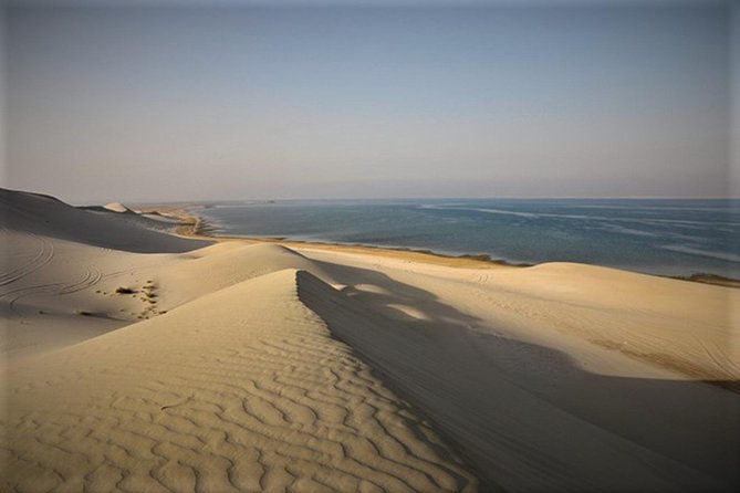 Qatar Gold Dune Safari, Dune Bashing,Camel Ride,Sand Boarding,Inland Sea Desert - Guides, Driving, and the Human Side of the Tour