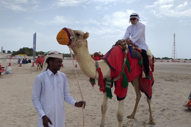 Qatar Gold Dune Safari, Dune Bashing,Camel Ride,Sand Boarding,Inland Sea Desert - Is $44.59 Good Value?
