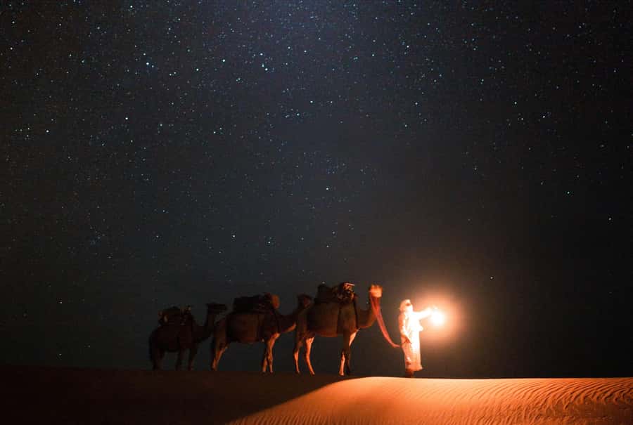 Qatar: Night Desert Safari| Camel Ride| Inland Sea Beach - Key points at a glance
