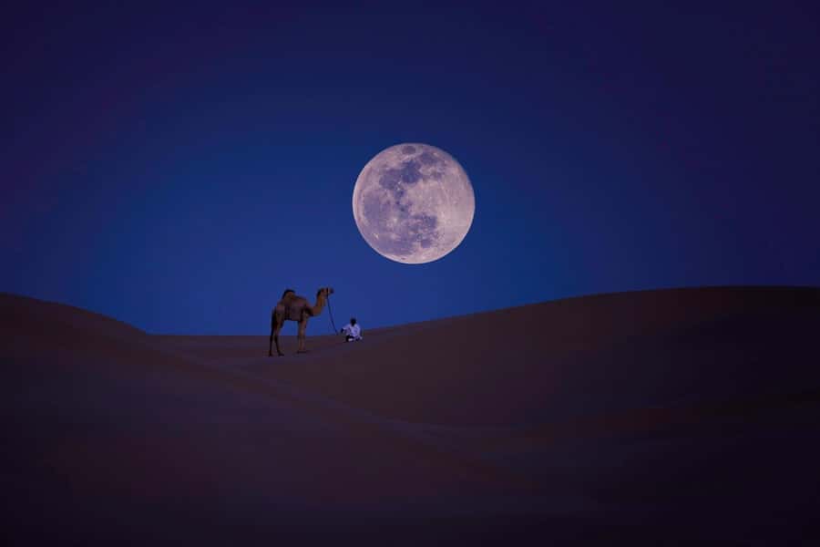 Qatar: Night Desert Safari| Camel Ride| Inland Sea Beach - Mesaieed: a short stop with local flavor