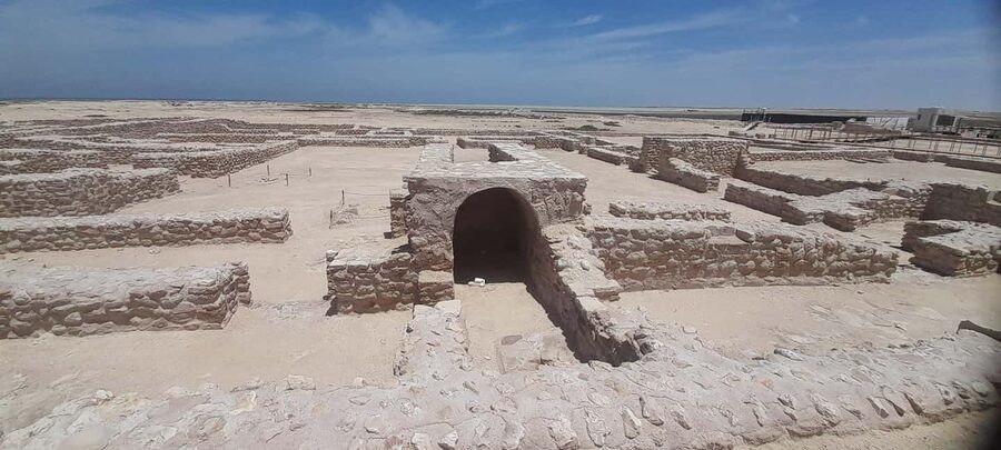 Qatar: North Tour, Al Zubara Fort and Purple Island - The mangrove forest and its birdlife