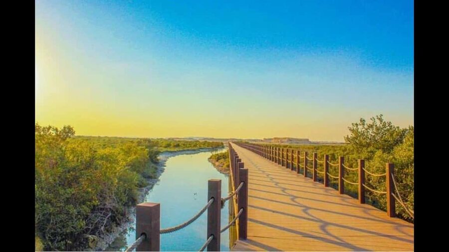 Qatar:North Tour, Purple island, zubara Fort, Jumail village - What is included, and what should you bring?