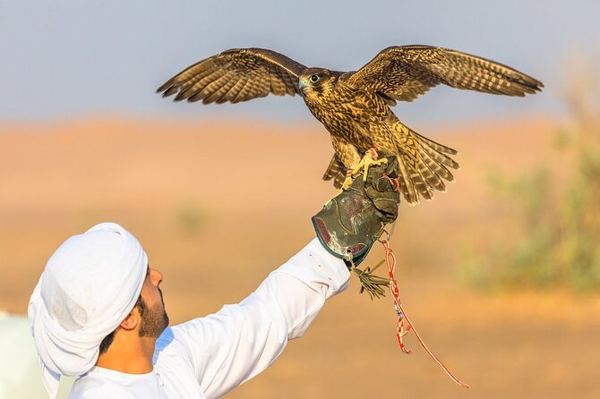 Qatar: Sunrise or Sunset Desert Tour in Doha, unforgettable trip - The Inland Sea, where sand meets open water