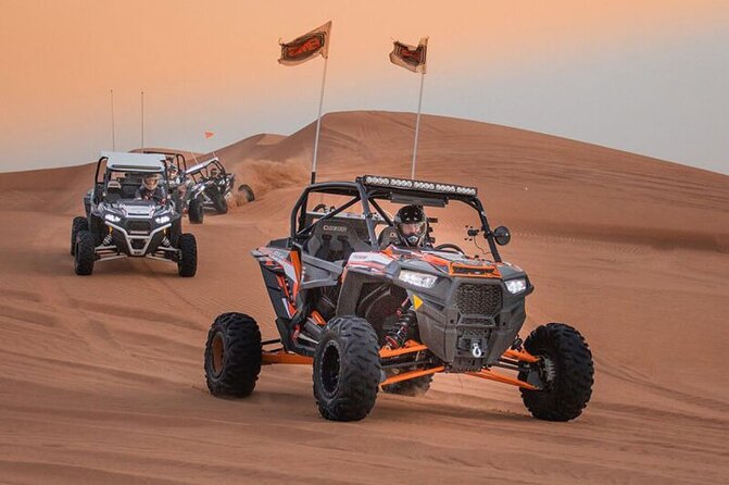 Qatar: Sunrise or Sunset Desert Tour in Doha, unforgettable trip - Practical details that affect your day