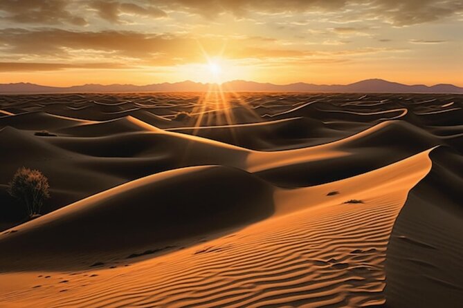 Qatar: Sunrise or Sunset Desert Tour in Doha, unforgettable trip - What the high rating tells you