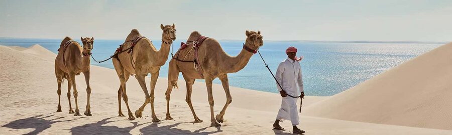 Qatar: Sunrise/Sunset Desert Safari, Camel Ride&Sandboarding - Key points at a glance