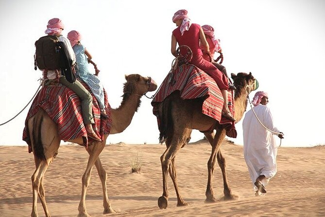 Qatar Sunset Desert Safari: Dune Bashing & Golden Sands Adventure - The camel camp: a short, tourist-friendly start