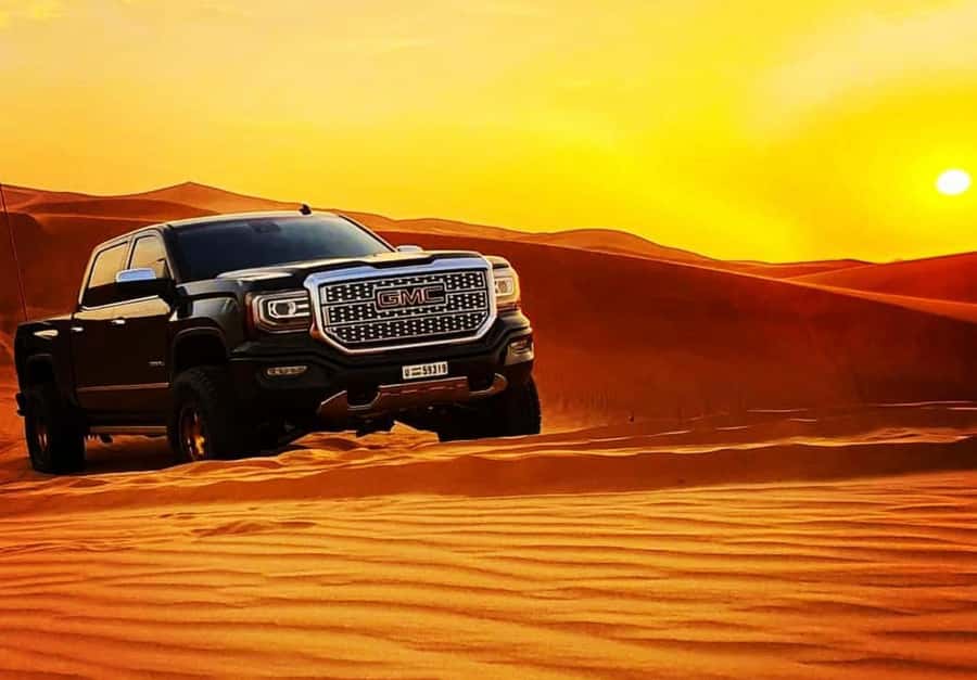 Qatar: Sunset Desert Safari with Camel Ride & Sandboarding - Who should book this desert safari?