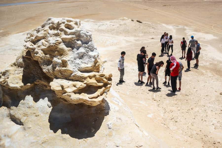 Qatar West Coast: Mushroom Rock & Camel Racing Experience - Is $75 per person a fair price?