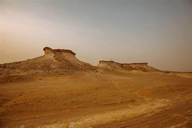 Qatar West Coast Zkreet Richard Sierra Camel Track Rock Formation - Key points worth knowing before you book